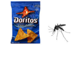 Dorito Mosquito