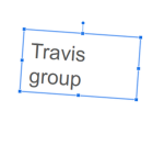 travis store