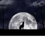 brook haven Blood Wolves