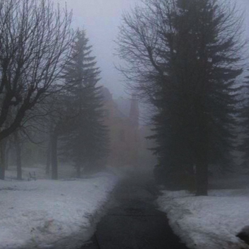 remember this winter