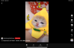 Banana Queen group