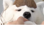 Cooooooooool mannnnnn