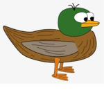 We are all ducks