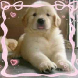 ♡