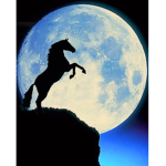 The moon-horses