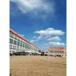 나무초등학교