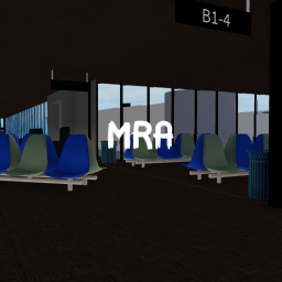 Montengro Regional Airport