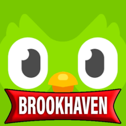 BrookhavenRP🏡 Duolingo (😮FREE ADMIN?!😮)