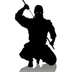 Ninjastyle