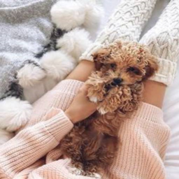 ♡