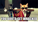 You got wacked