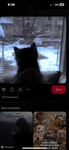 KittyKay