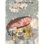 Sunshine daisies <3