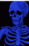 The blue pro