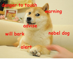 MLG DOGE MOUNTAIN DEW TEAM's CTF Game