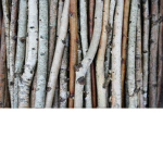 STICK MART