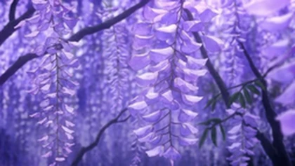 WisteriaProductions Roblox group icon