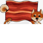 SHİBA BACONS