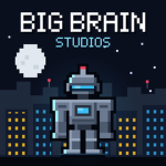 BIG BRAIN STUDIOS INC