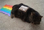 Nyan Cat United