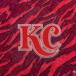 K.C Gamer