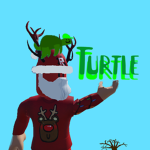 TURTLE!!!!!!!!!!!!!!!!!!!!!!!!!