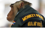 Apes Of Roblox Police