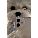 Le_cute