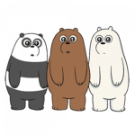 THE COOL BEARS :)
