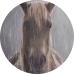 Swap your body with anyone