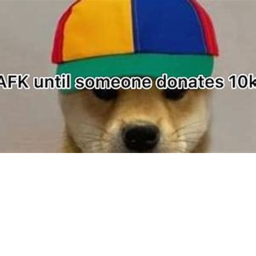AFK Till 1k (AFK IN GAME SHUT DOWN WHEN 1K)