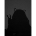 avm