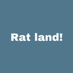 Rat land!