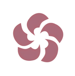 화산파 | 華山派
