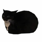 Project Lock Group