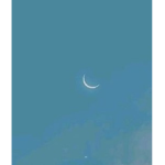 Moonlight Moon Club