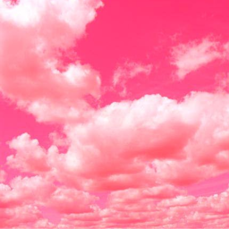 🌸