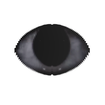 animated eye Roblox item