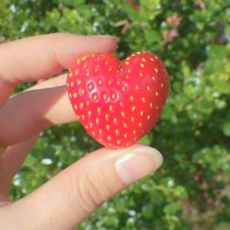 🍉