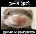 *~Hannys Ferrets~*