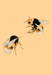 :.Bumblebee Mall!.: