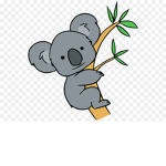 Kaitlyn koala squad
