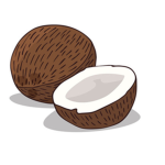 Coconut run