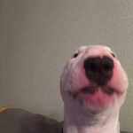 no name this