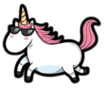 The sparkle toes unicorn squad