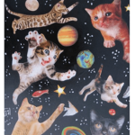 ## CATS X3