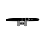 nick collar