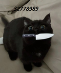 TinglyTurtle