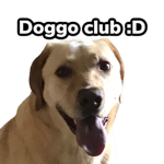 DOGGO CLUB..