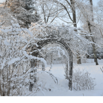 Winter Garden